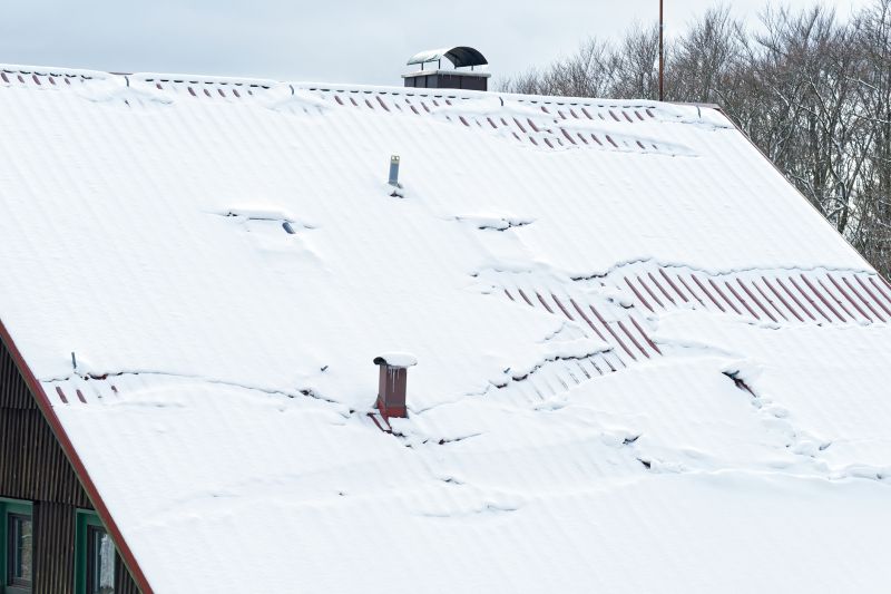 Winter Roofing Options
